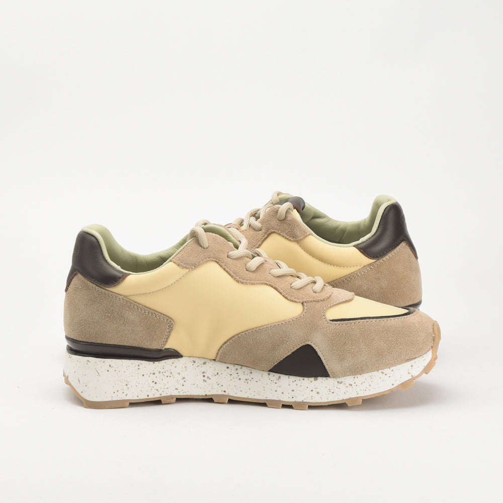 Guardiani \ AGM316602