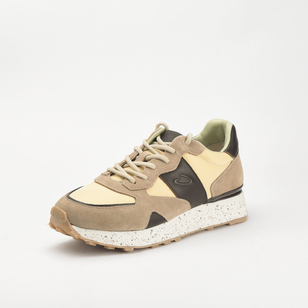 Guardiani \ AGM316602