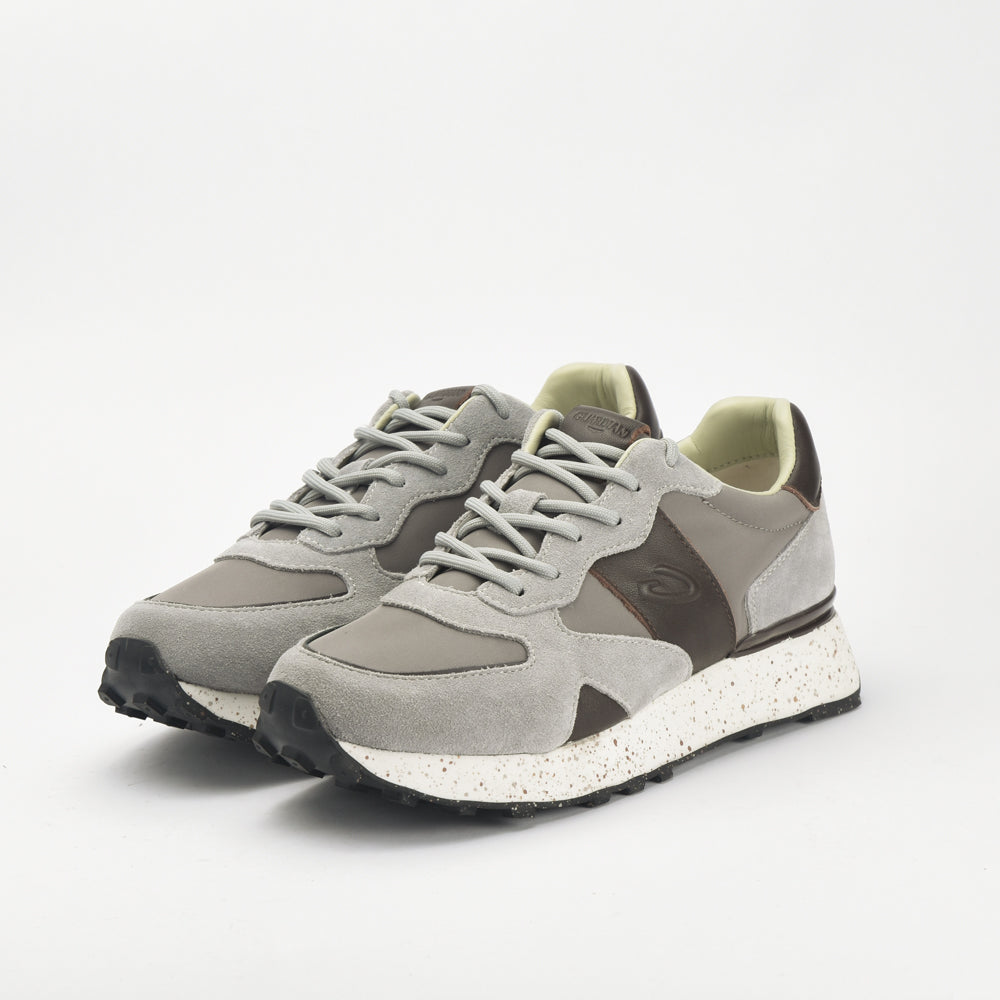 Guardiani \ AGM316603