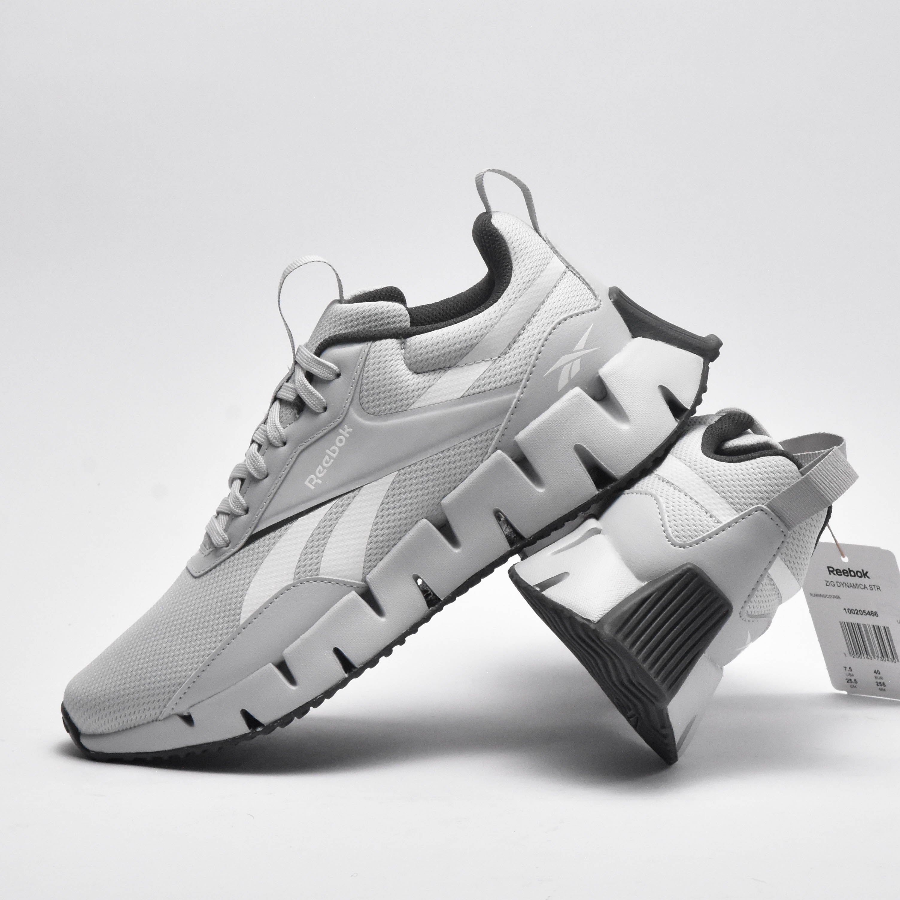 REEBOK ZIG DYNAMICA STR \ 100205466
