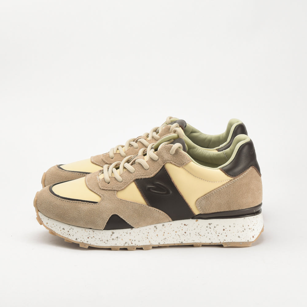 Guardiani \ AGM316602